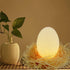 products/3d-dinosaur-egg-color-change-nightlight-lighting-394-10cm-geekyget-8.jpg