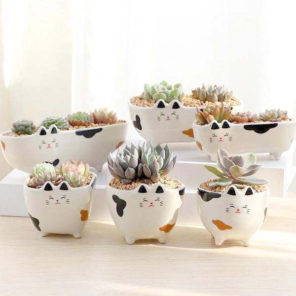 Cat Ceramic Flower Pot Terrarium (Various Designs)
