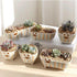 products/cat-ceramic-flower-pot-terrarium-various-designs-gardening-1-geekyget-3_04f06368-de3b-4002-b0a9-7c9ba3477a0f.jpg