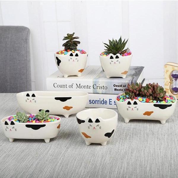 Cat Ceramic Flower Pot Terrarium (Various Designs)