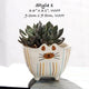 Cat Ceramic Flower Pot Terrarium (Various Designs)