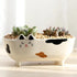 products/cat-ceramic-flower-pot-terrarium-various-designs-gardening-1-geekyget_1c895bd6-8d97-41c9-8963-2ac2de04cba4.jpg