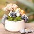 products/cat-decorative-pieces-set-of-6-decoration-geekyget-6_aa933a63-962b-4d88-93de-1fe4ba2afdee.jpg