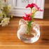 products/cat-shaped-glass-terrarium-gardening-geekyget-4_201346de-5d50-4945-aa0f-e714607a80ac.jpg