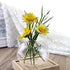 products/cat-shaped-glass-terrarium-gardening-geekyget-5_48db8e74-20b5-4182-9553-77ba86d9d55e.jpg
