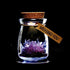 Crystal Growing Jar (Various Color And Messages)