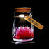 products/crystal-growing-jar-various-color-and-messages-decoration-red-good-luck-geekyget-2_a3a62fe8-5194-4ca5-9c6d-36ead5e7cc7d.jpg