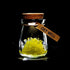 products/crystal-growing-jar-various-color-and-messages-decoration-yellow-get-well-geekyget-3_2ecc9630-d643-4334-b7e0-14f75dcd50b9.jpg