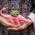 products/dinosaur-planter-terrarium-various-designs-gardening-triceratops-black-geekyget-4_19017fcd-8cd2-42ee-8f43-fb7378357d45.jpg