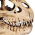products/dinosaur-skull-fossil-decoration--geekyget-2_6e19af95-ee8f-41a5-a302-b0cf5ec54682.jpg