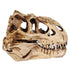 products/dinosaur-skull-fossil-decoration--geekyget-4_ff7851f2-509b-46fc-9196-8554c811efef.jpg