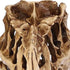 products/dinosaur-skull-fossil-decoration--geekyget-5_534d0932-c08c-46e4-b88a-6eaa25ba8748.jpg