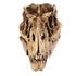 products/dinosaur-skull-fossil-decoration--geekyget-6_3e137c3f-8585-424d-962c-4f2bf64e2442.jpg