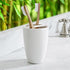 Eco-Friendly Bamboo Toothbrush (Set of 5)