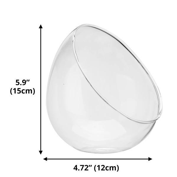 Egg Shaped Glass Plant Terrarium (Various Sizes)
