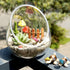 products/egg-shaped-glass-plant-terrarium-various-sizes-gardening-s-394x315-10cmx8cm-geekyget-2_78ad1f58-8e07-4ddf-b92b-19e8fc40560c.jpg