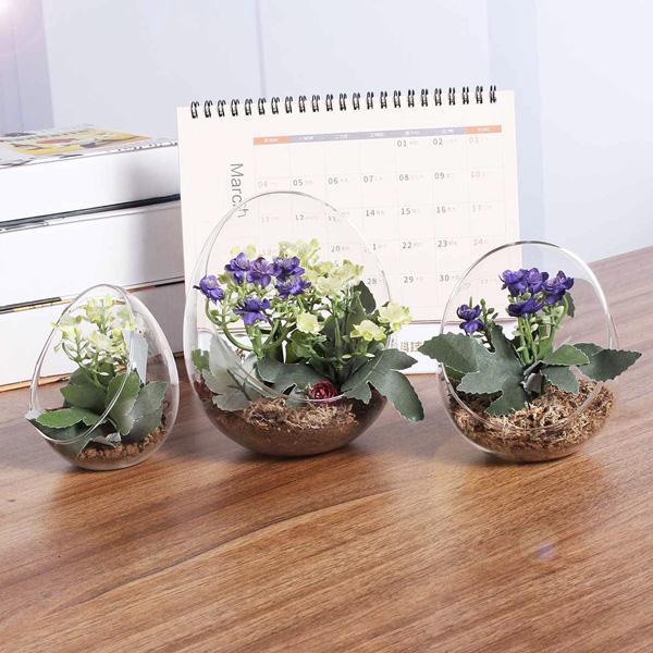Egg Shaped Glass Plant Terrarium (Various Sizes)