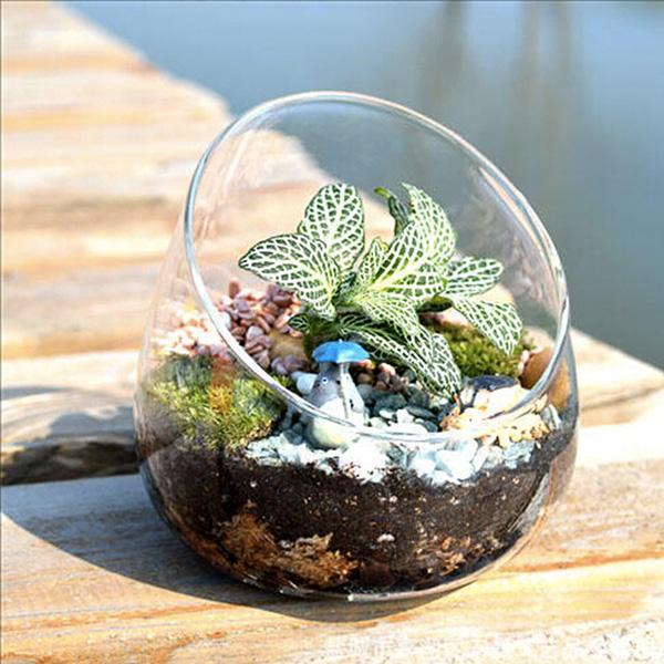 Egg Shaped Glass Plant Terrarium (Various Sizes)