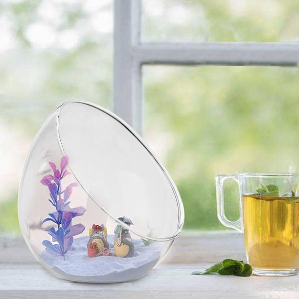 Egg Shaped Glass Plant Terrarium (Various Sizes)
