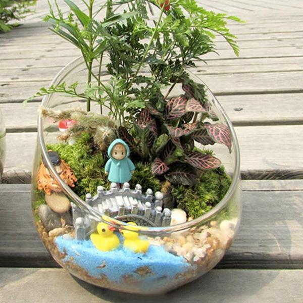 Egg Shaped Glass Plant Terrarium (Various Sizes)