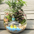 products/egg-shaped-glass-plant-terrarium-various-sizes-gardening-s-394x315-10cmx8cm-geekyget-7_3834c3bf-67cd-44f3-9e6e-2249a87a79b4.jpg
