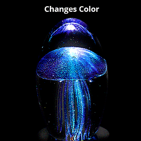 Color Changing Jellyfish Nightlight (Various Colors)