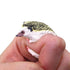 products/handmade-3d-hedgehog-ring-ring-brown-geekyget-2_7a200629-ddde-44ea-982e-5652335ee46d.jpg