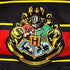 products/harry-potter-hogwarts-backpack-bag-geekyget-3_62530583-47d6-48ae-b143-b71f418ddded.jpg