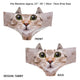 Kitty Cat 3D Ears Panties (Various Designs)