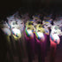 products/lighted-unicorn-pen-pen-white-geekyget-5_da57e7bc-ad25-4916-b446-a2f83f3366e0.jpg