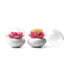 products/lotus-holder-toothpick-holder-green-geekyget-4_8f54ec1f-46f6-4770-9638-0ce06f76ada3.jpg