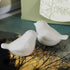 products/love-birds-salt-pepper-shakers-cutlery-geekyget-5_a075cb9a-2b9f-4948-a932-f29a619d0233.jpg