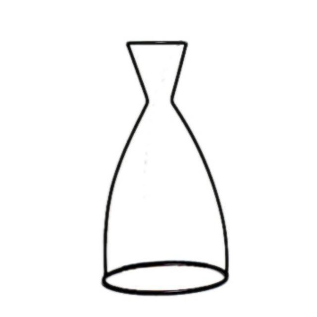 Minimalist Abstract Iron Frame Vase (Various Designs)