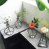 products/minimalist-abstract-iron-frame-vase-various-designs-gardening-a-geekyget-4_bcb09905-6791-4cfe-9bbd-01ae8f16ba10.jpg