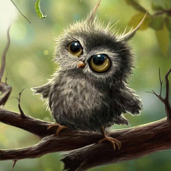 Owl 5D Rhinestone Painting