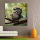 Owl 5D Rhinestone Painting