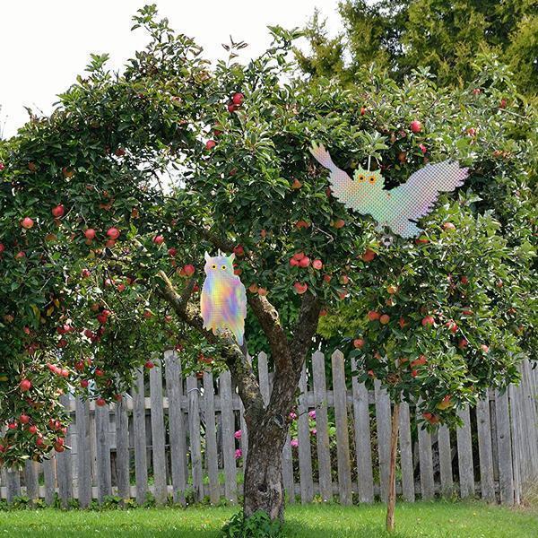 Owl Bird Scare Reflective Deterrent (One Pair)