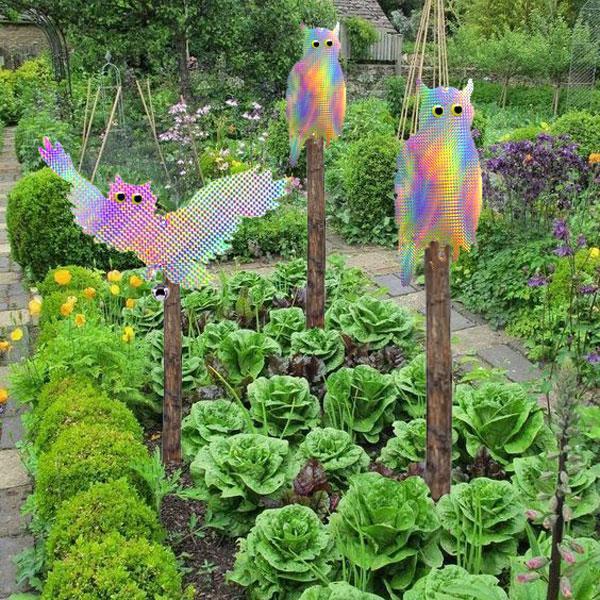 Owl Bird Scare Reflective Deterrent (One Pair)