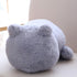 products/plush-cat-cushion-various-colors-cushion-white-geekyget-8_d42d7d9d-5885-4981-a7b2-96454f2f854c.jpg