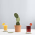 products/potted-cactus-coasters-coaster-geekyget-3_5c33cb8a-f0ee-425f-9786-6b2e2e579f99.jpg