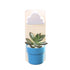 products/rain-cloud-watering-pot-various-colors-gardening-blue-pot-with-white-panel-geekyget-13_024e80d1-2be3-4a4a-8b6d-ea31d02a4001.jpg