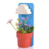 Rain Cloud Watering Pot (Various Colors)