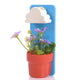 Rain Cloud Watering Pot (Various Colors)