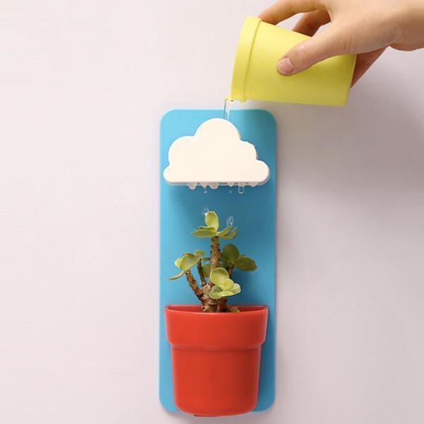 Rain Cloud Watering Pot (Various Colors)