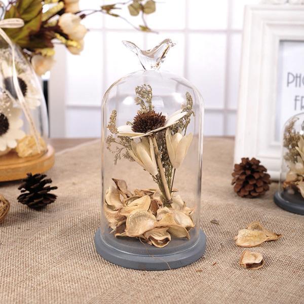 Rustic Bird Dome Glass Vase (Various Sizes)