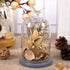 products/rustic-bird-dome-glass-vase-various-sizes-gardening-medium-323-x-571-82cm-x-145cm-geekyget-8_006dc6d2-c42f-4abf-bb10-667df902da11.jpg