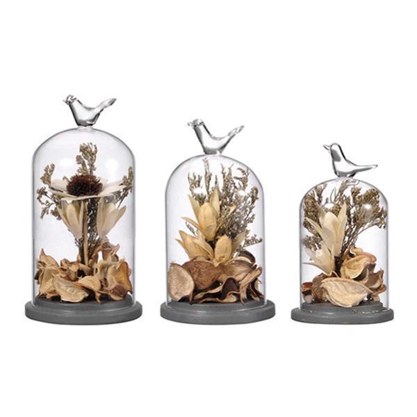 Rustic Bird Dome Glass Vase (Various Sizes)