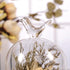 products/rustic-bird-dome-glass-vase-various-sizes-gardening-small-268-x-453-68-cm-x-115-cm-geekyget-4_0434edec-5583-420f-950f-d0ae1924d1af.jpg