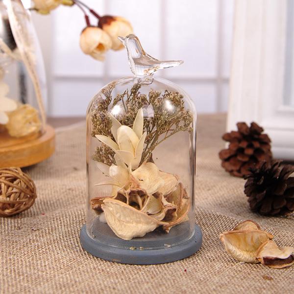 Rustic Bird Dome Glass Vase (Various Sizes)