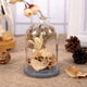 Rustic Bird Dome Glass Vase (Various Sizes)